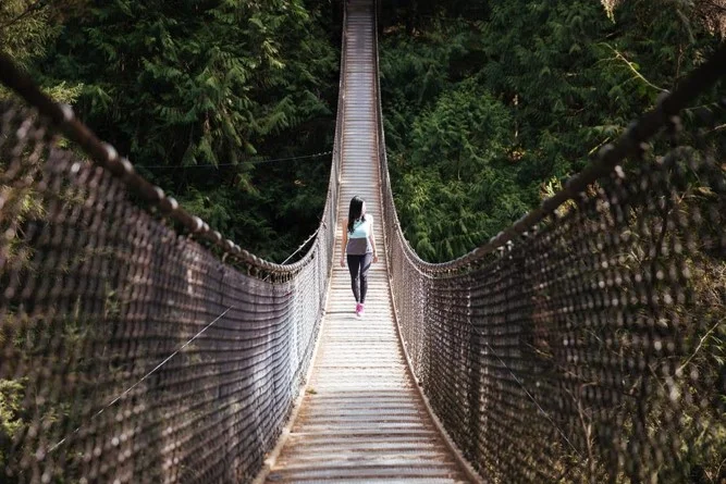 bridge.jpg