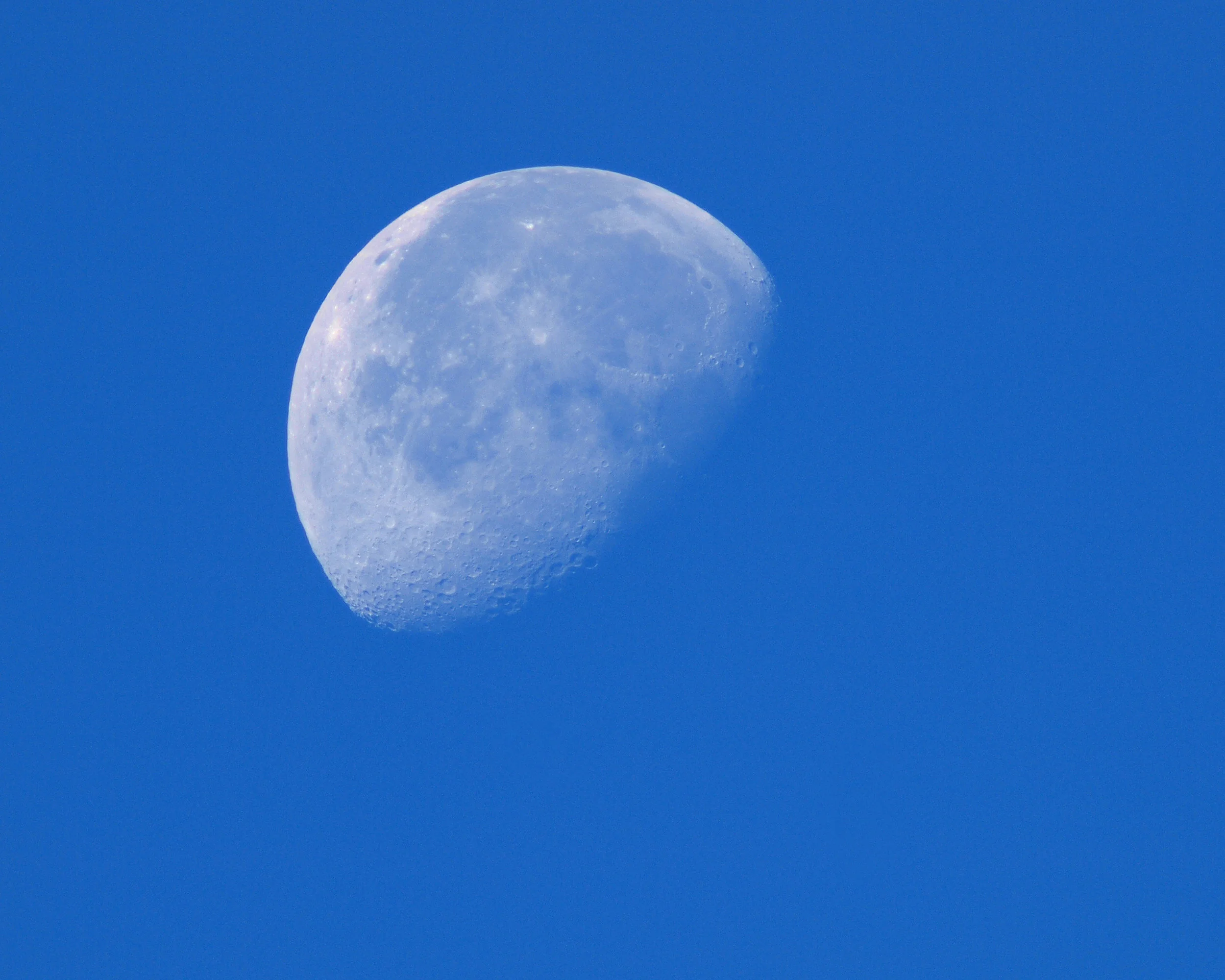 shutterstock_40765561.jpg