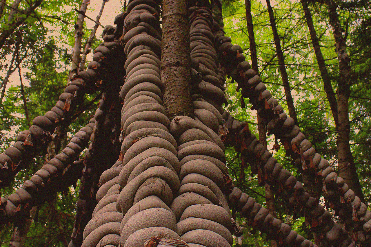 Pavilion made with fabric-formed concrete lazy bricks in the forest, hugging a tree
