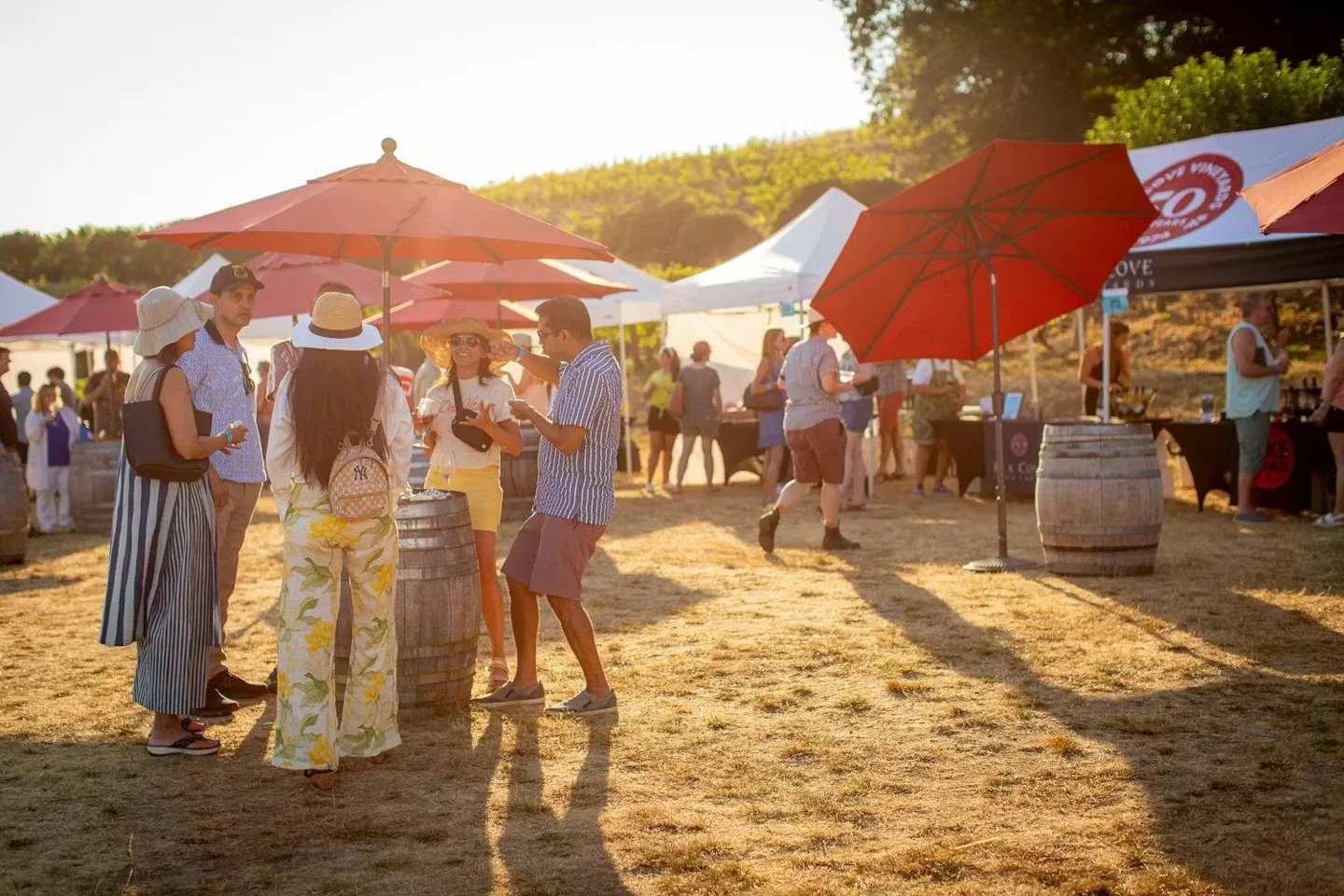 Rising Tide Wine Fest at Elk Cove Vineyards