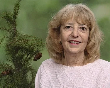 P13.jpg
