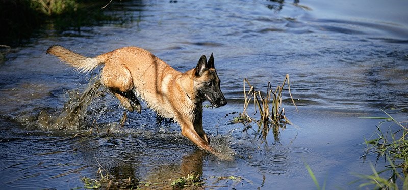 Maya running through water smaller.jpg