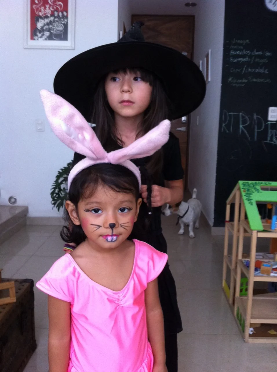 2017-11-01 17.20.49.jpg