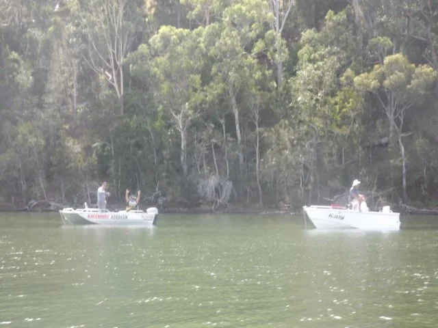 dscf2845.jpg