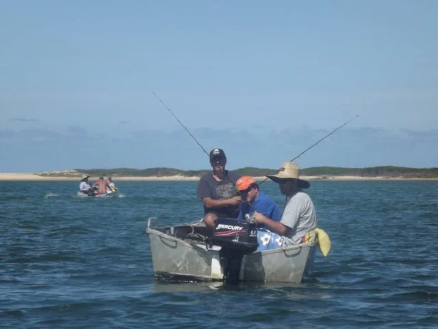 dscf2874.jpg