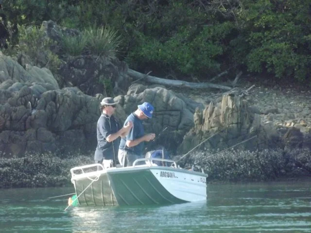 dscf2878.jpg