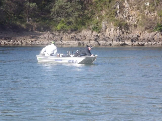 dscf2880.jpg