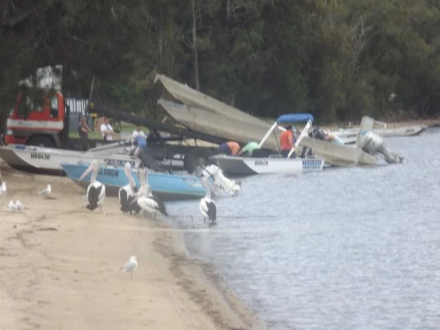 dscf2719.jpg