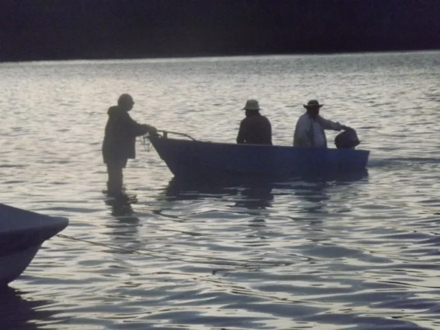 dscf2768.jpg