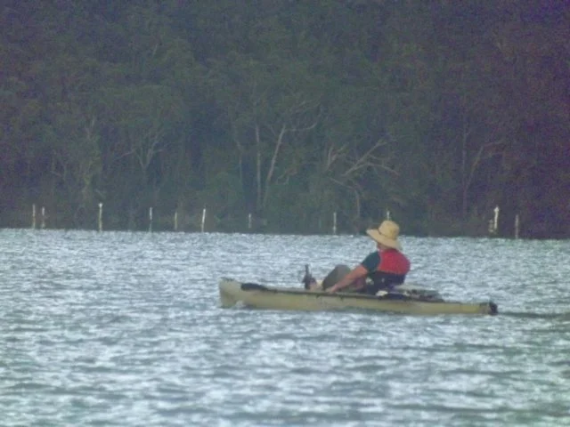 dscf2800.jpg