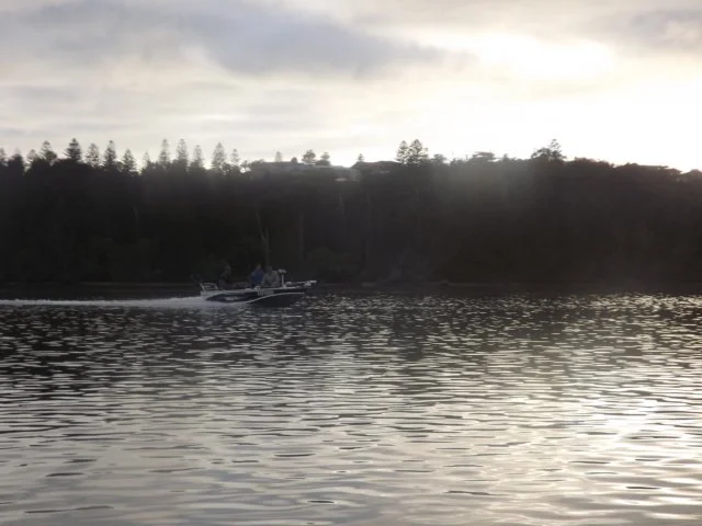 dscf2803.jpg