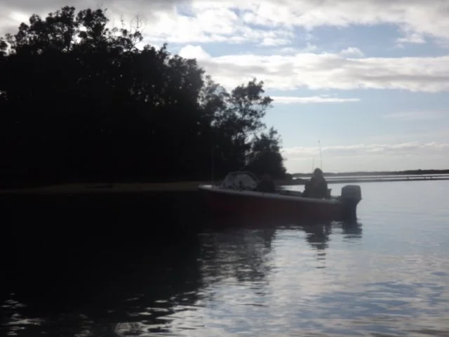 dscf2815.jpg