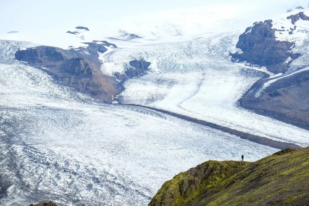 Hiking Ant in a Glacial Sea