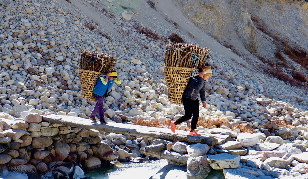 Collecting wood