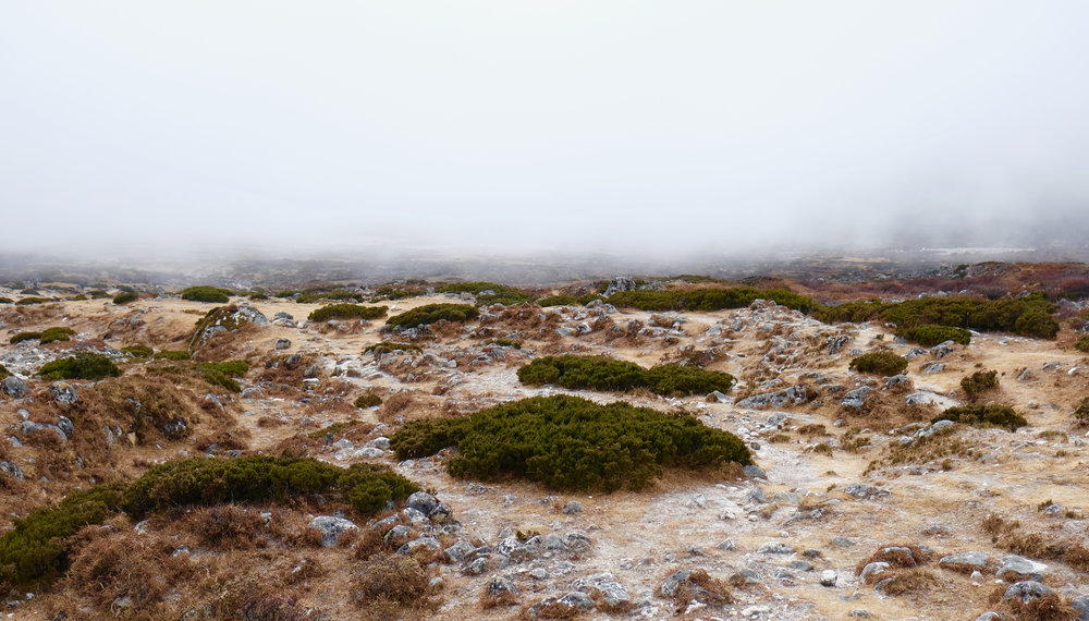 Valley beneath the fog