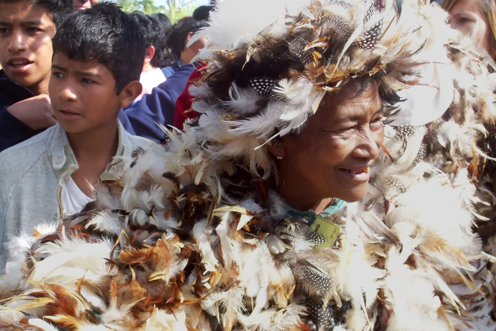 Cultura Guarani.jpg
