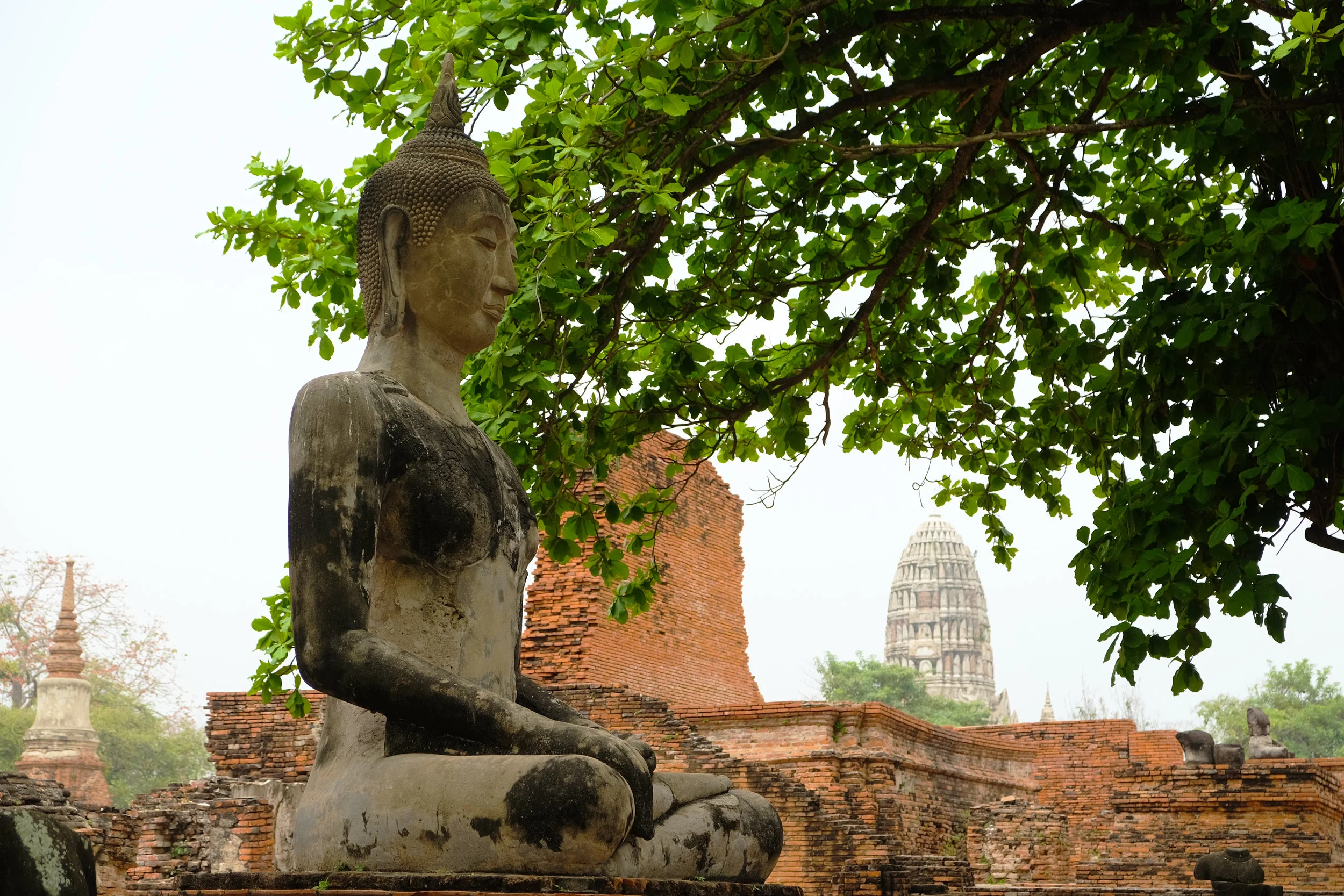 Buddha looks on at Ayutthaya, the capital of Siam from 1351 to 1767