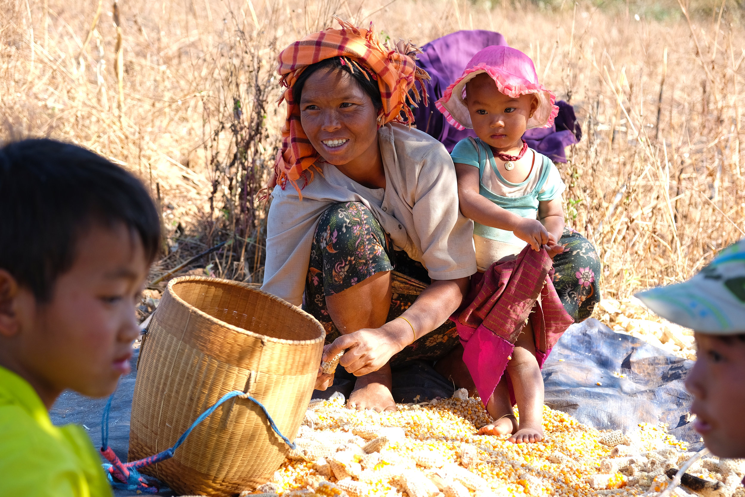 Tantu tribeswoman shucking corn with her children for 40 cents/kilo. Tantu women wear colorful headscarves because they believe women to be dragons.
