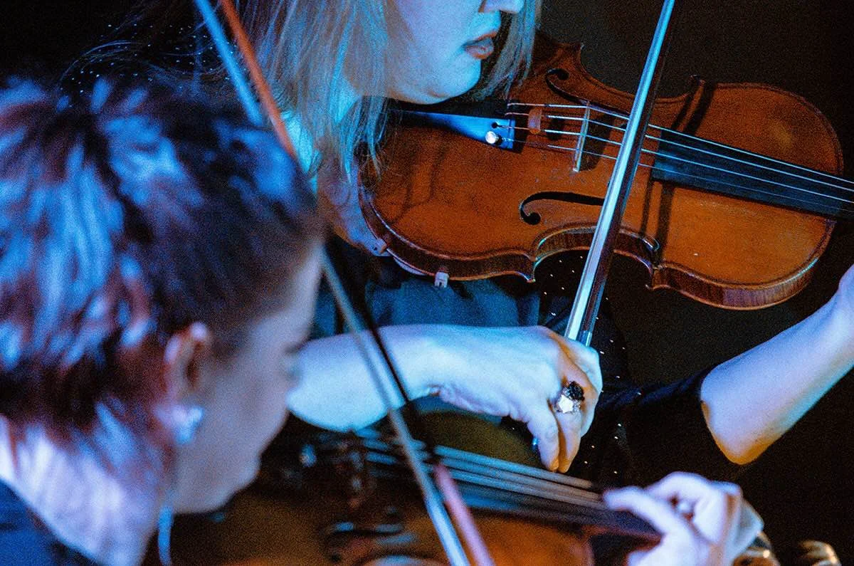 Ironwood at the Egyptian Embassy