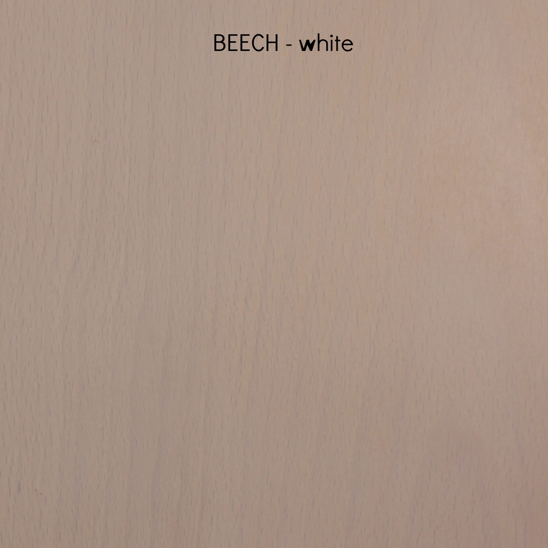 beechwhite.jpg