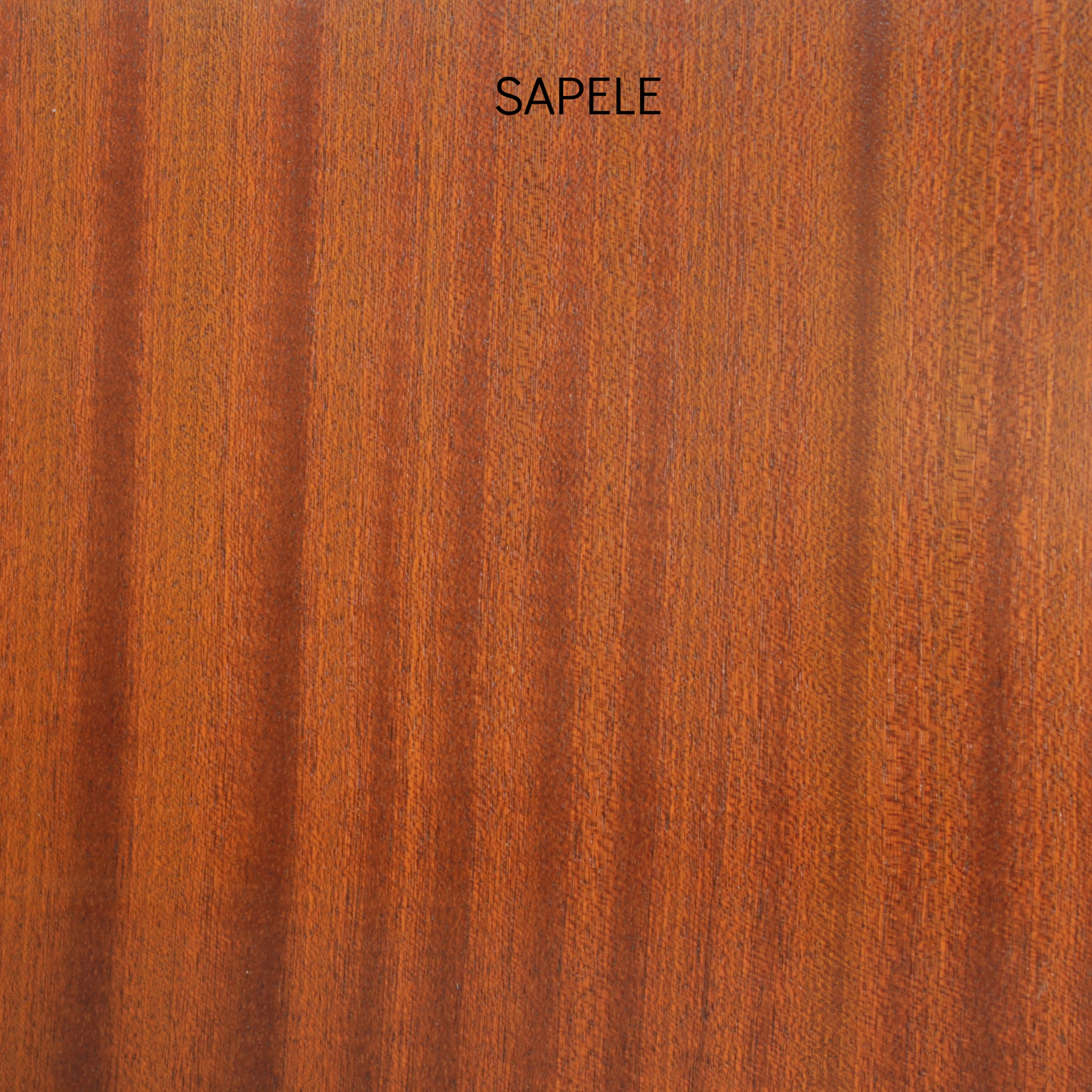 sapele.jpg