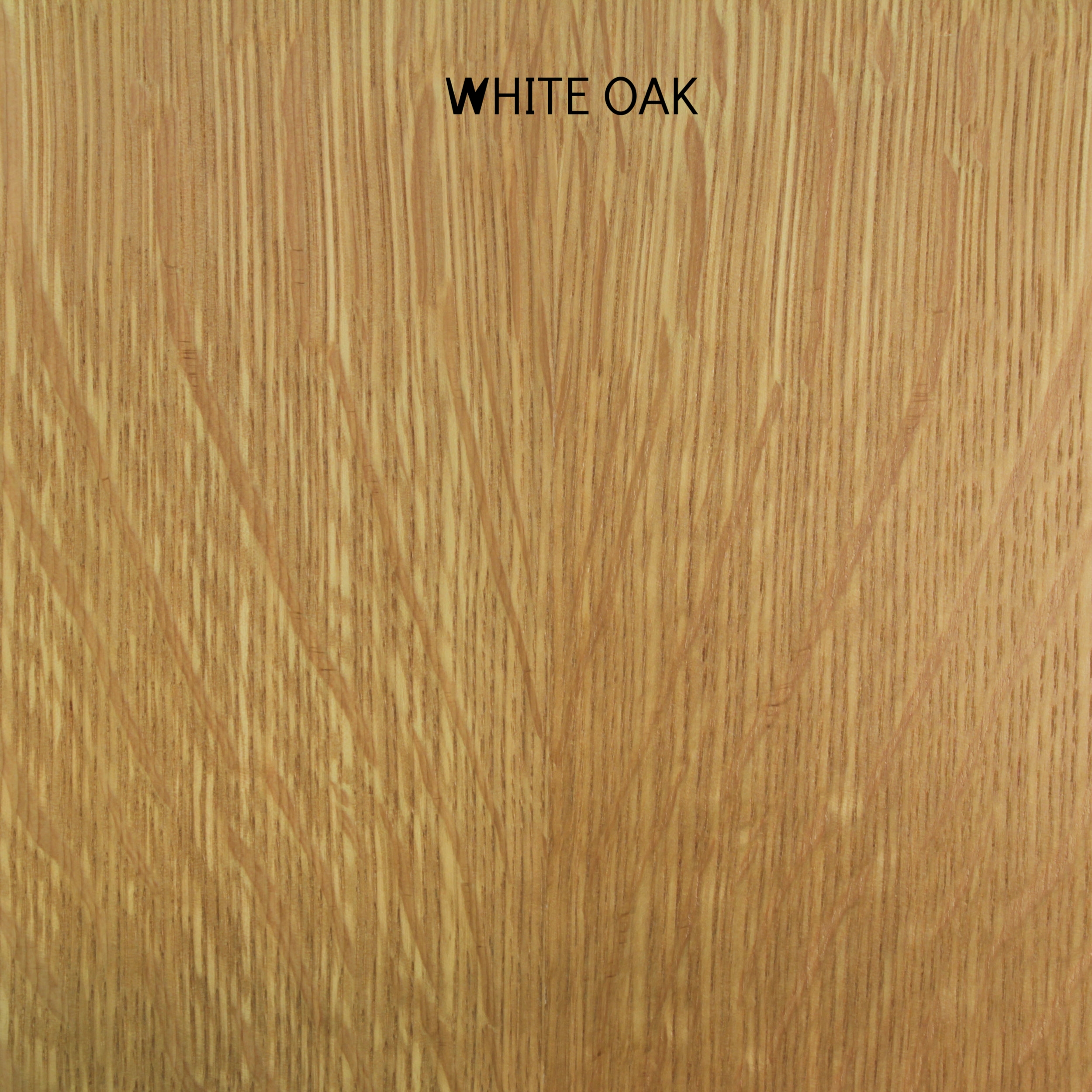 whiteoak.jpg