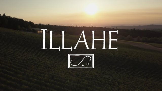Illahe Winery-Project 1899