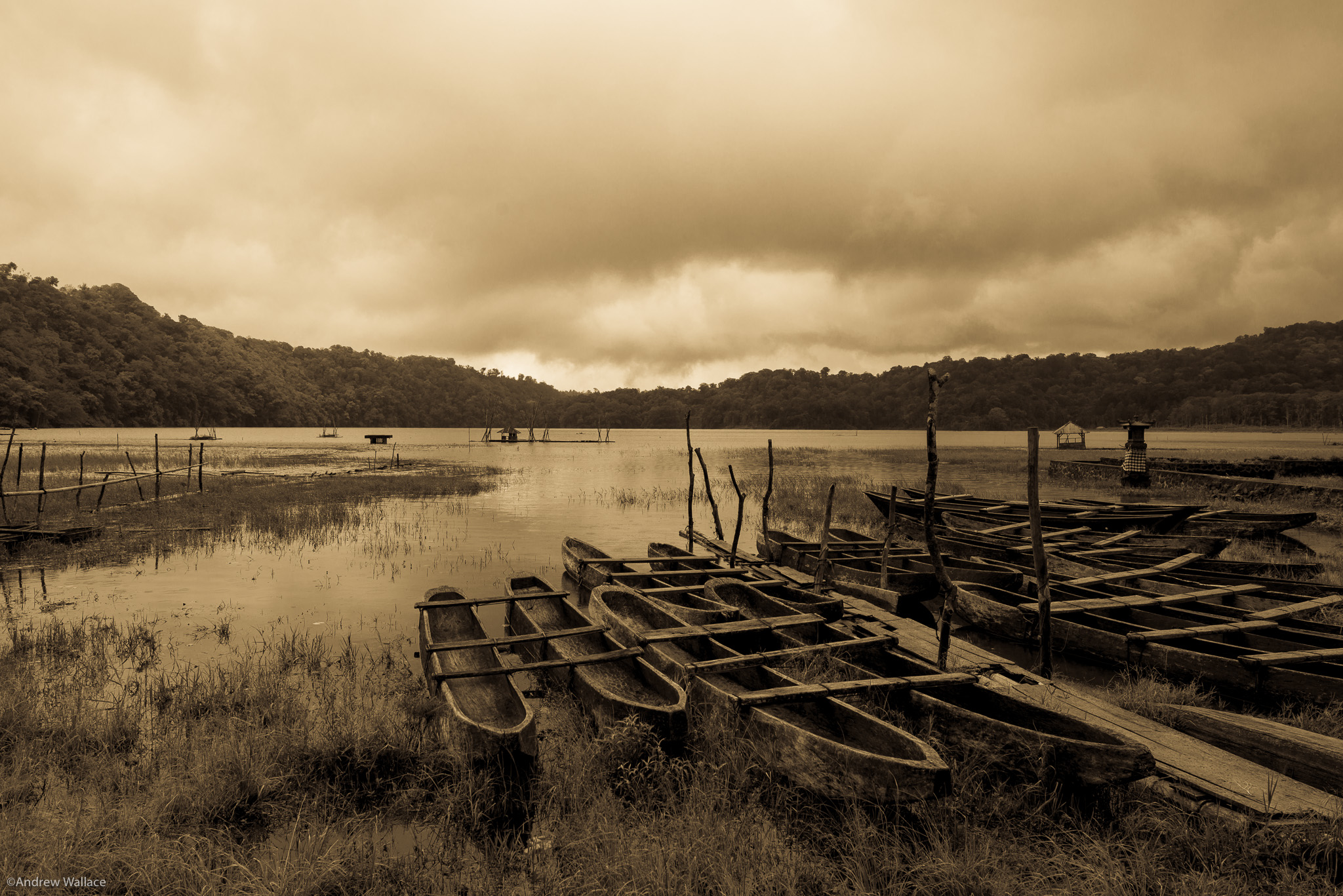 20140301_Komodo_3701.jpg