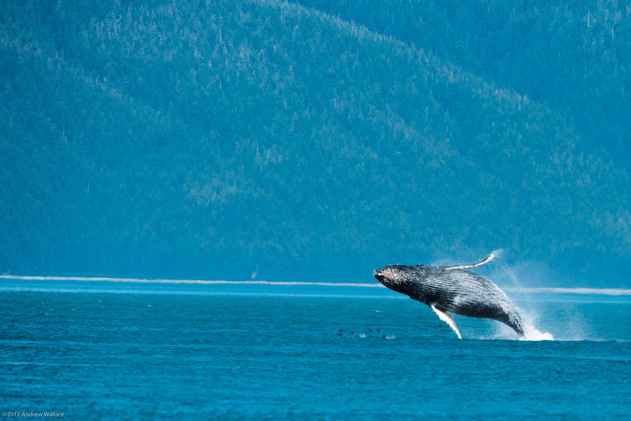 20130728_AlaskaTopside_1675.jpg
