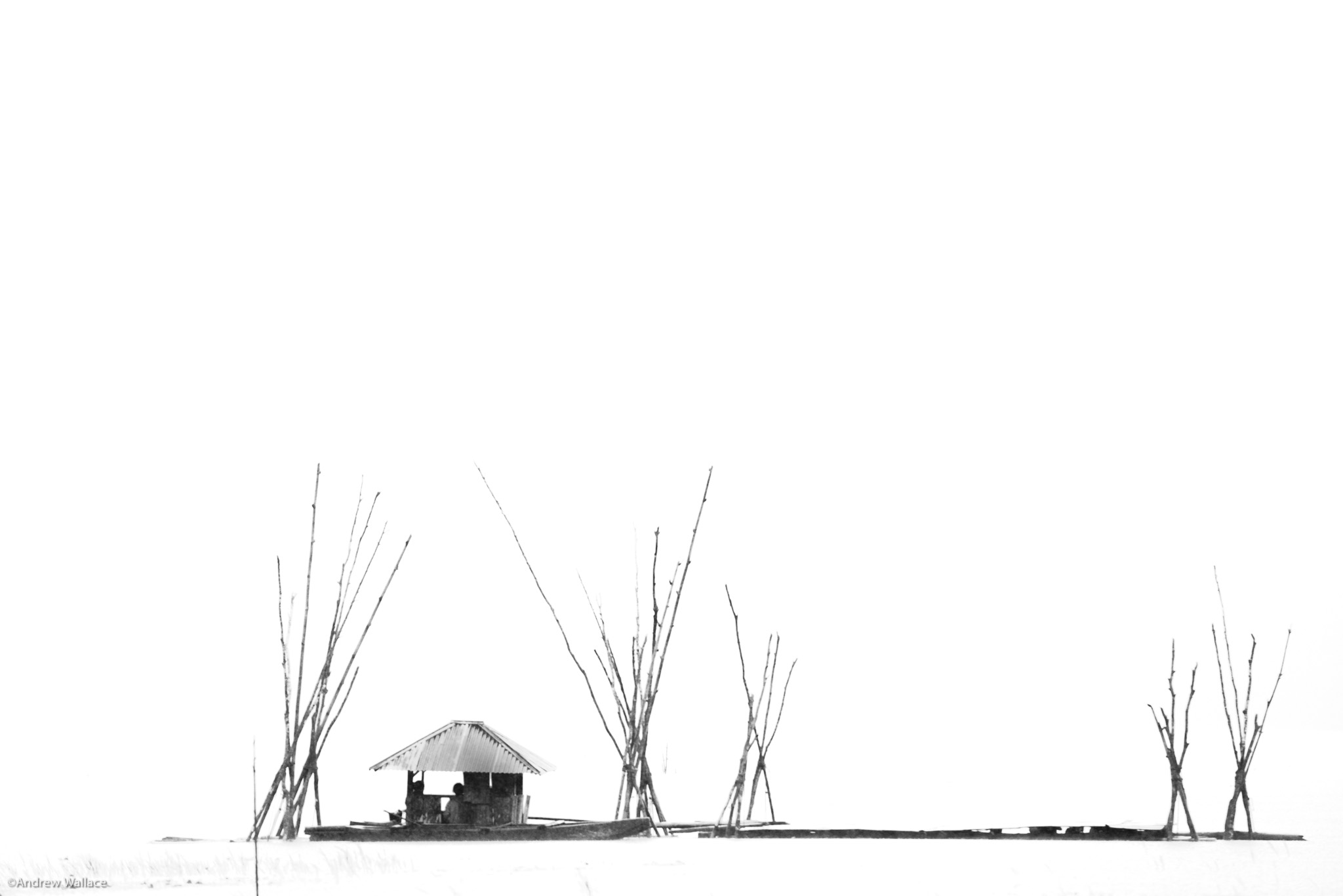 20140302_Komodo_3732.jpg