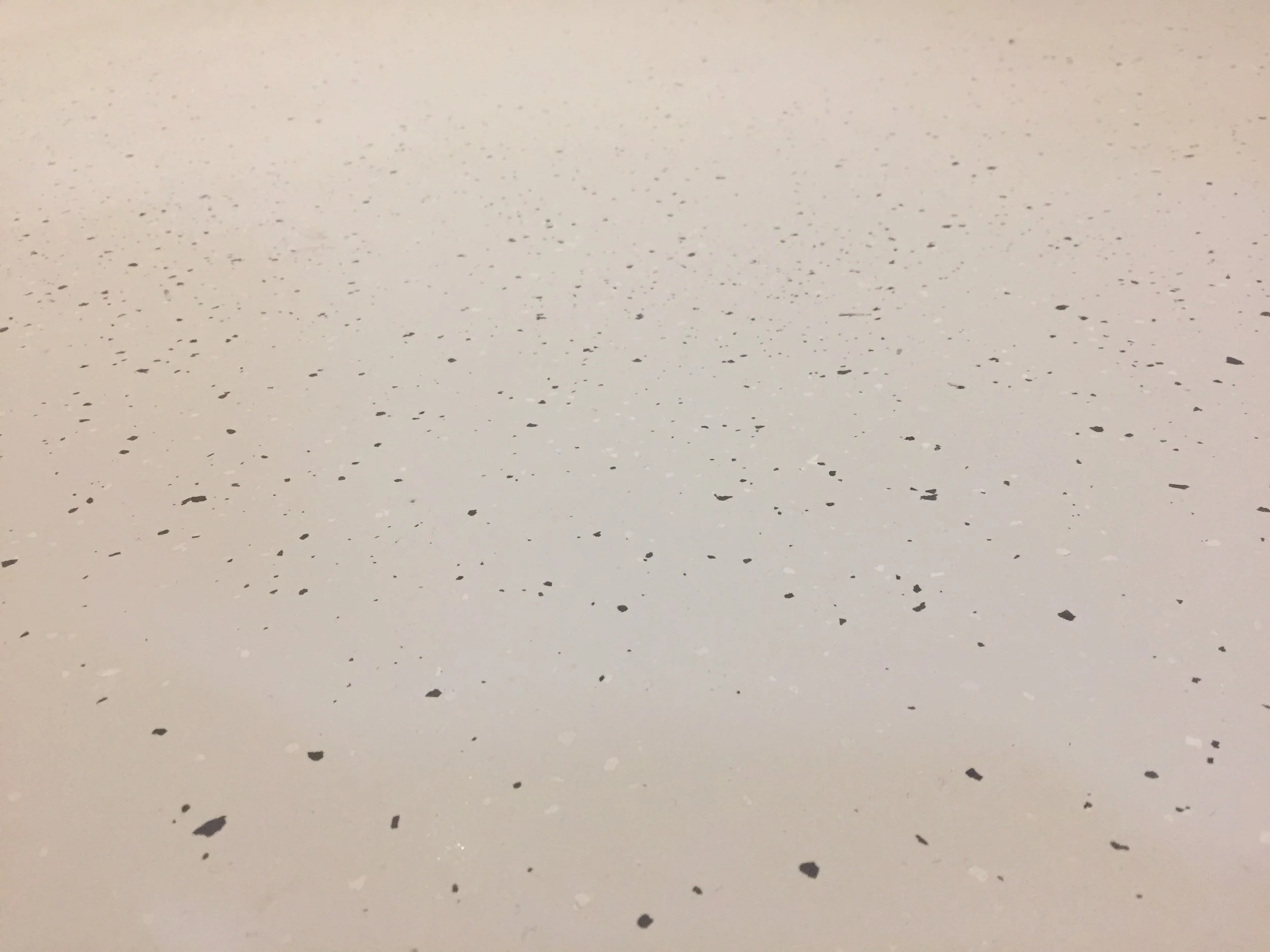 Er du vår nye prosjektleder?