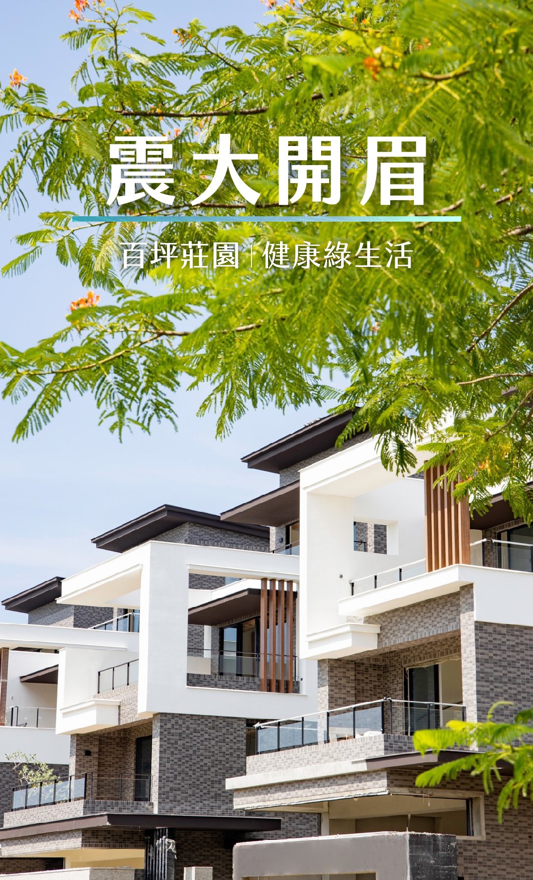 震大開眉