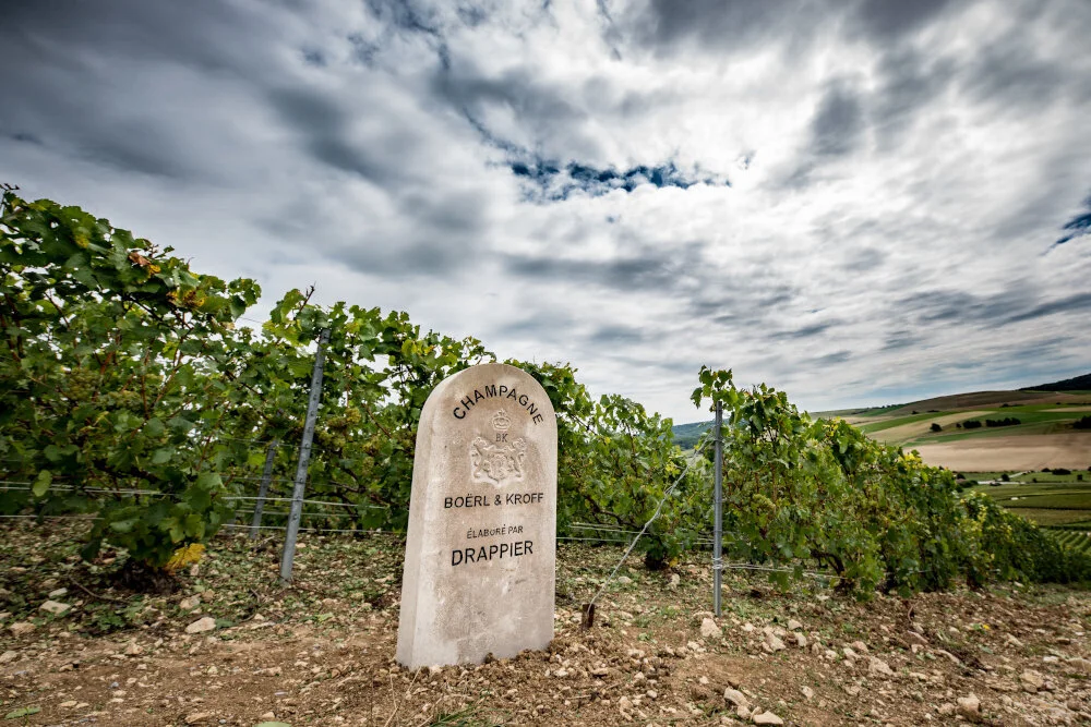 boerl+kroff+vineyard+champagne.jpg