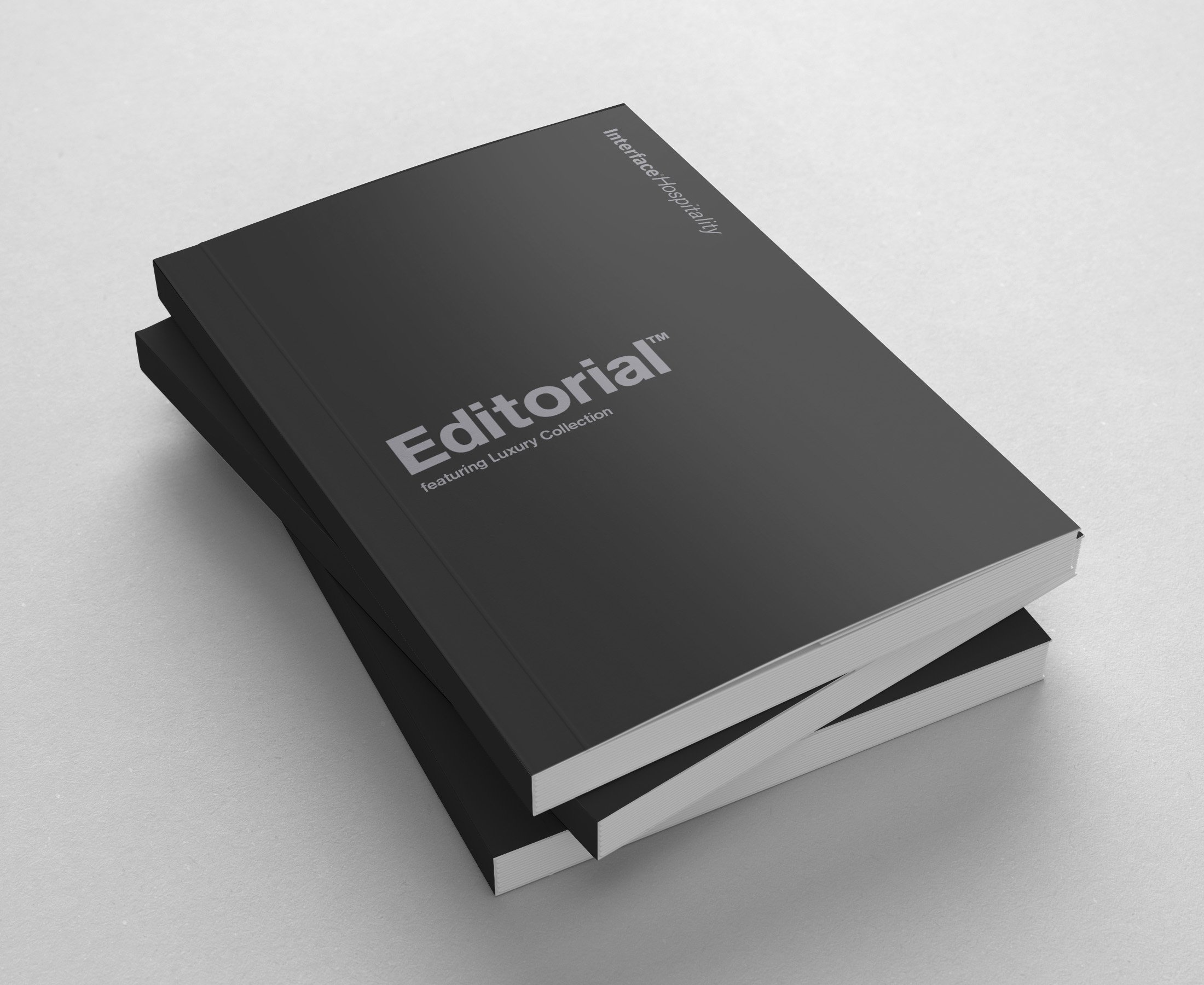 Interface ED mock up 1 copy.jpg