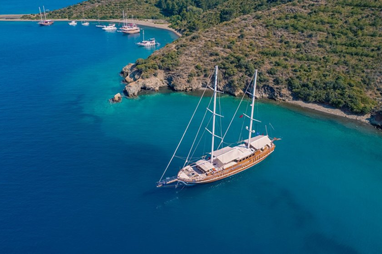 Lycian-Queen (Sized) (14).png