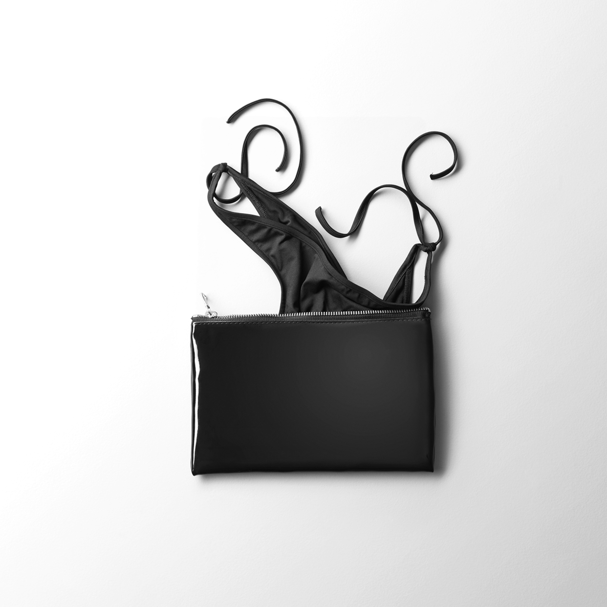 North_Palm_bikinibag.png