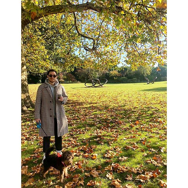 Another weekend, another walk on Albee&rsquo;s big tour of London parks. Today: Dulwich. .
.
📸 @robert_ad #dulwichpark #dulwich #welshterrier #welshterrierpuppy #london #londonparks #dulwichvillage