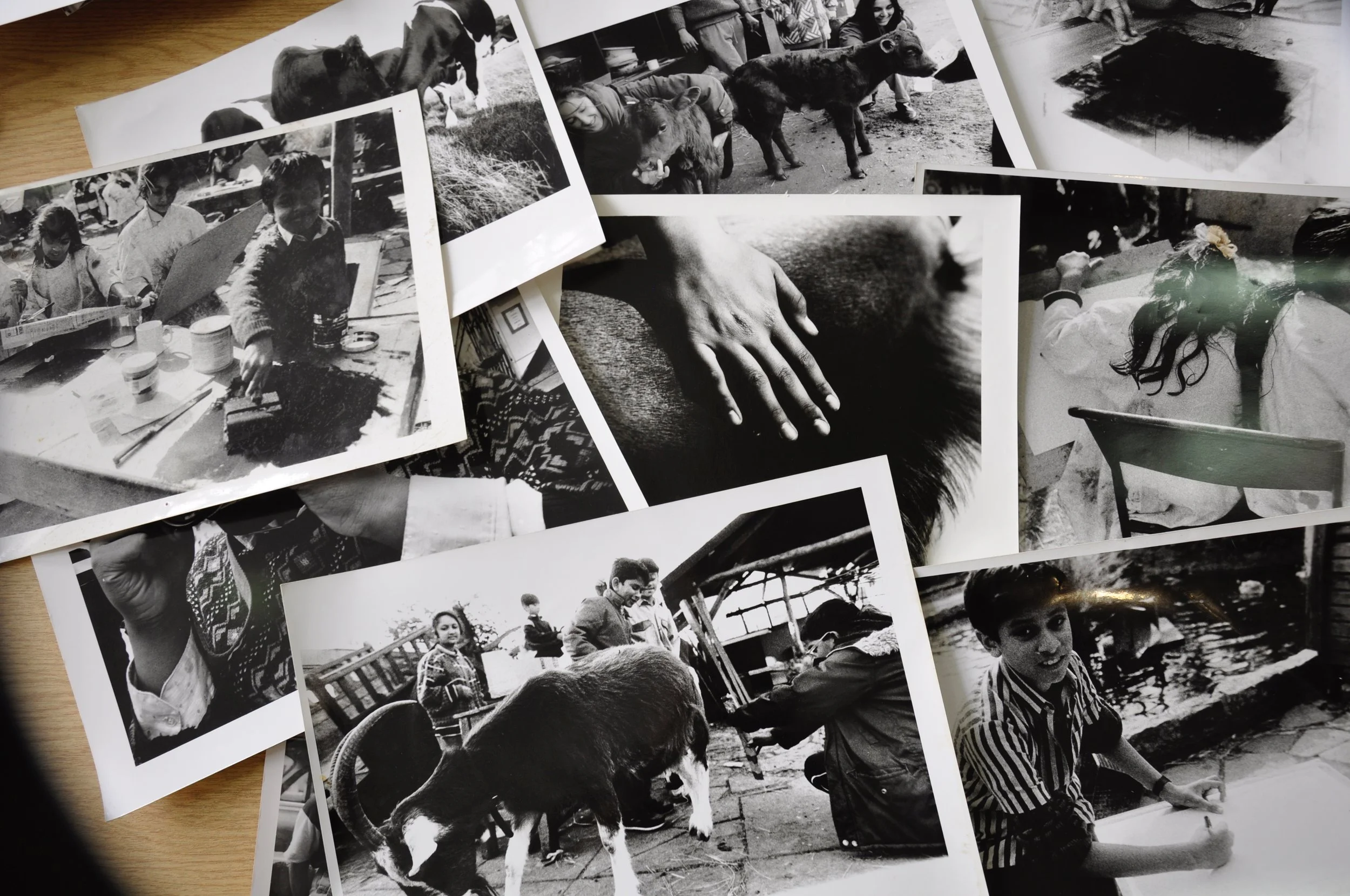 Since 1978 we've been providing activities and opportunities to the local community.