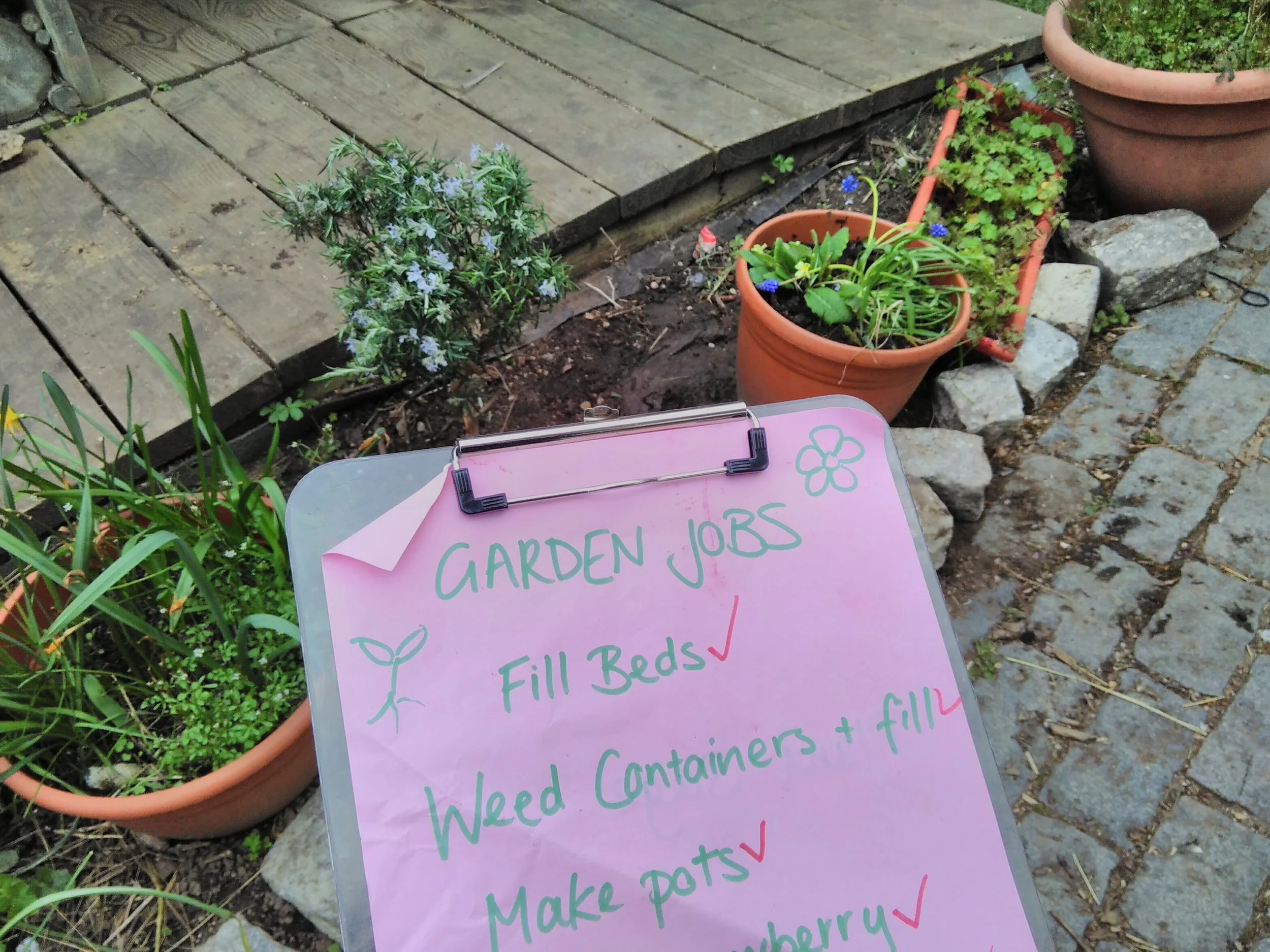 Families Go Wild in the Garden!