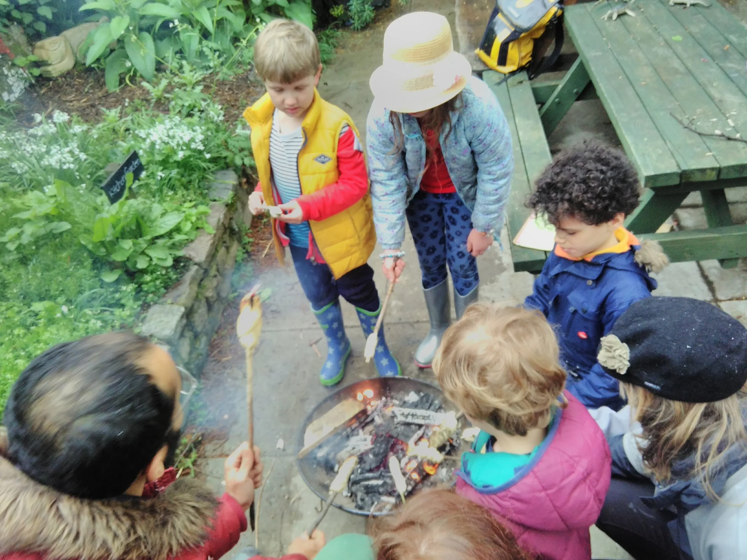 Families Go Wild Harvest Festival!