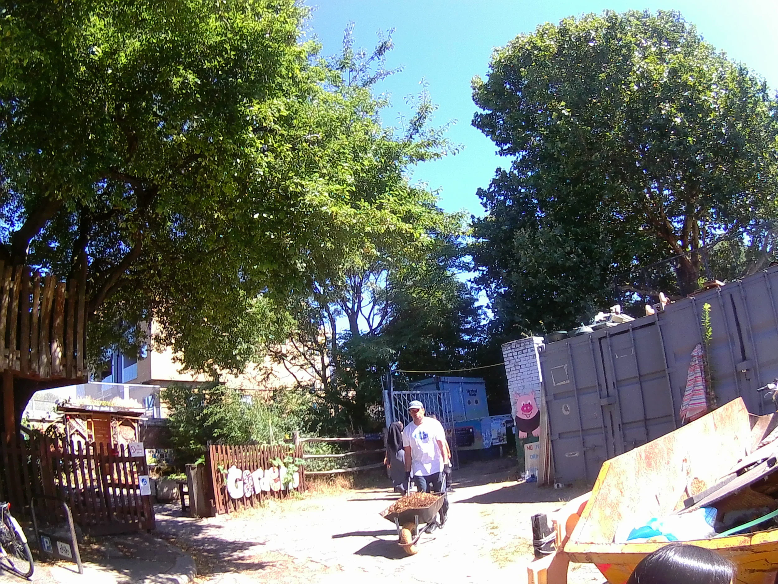 P0850085.jpg
