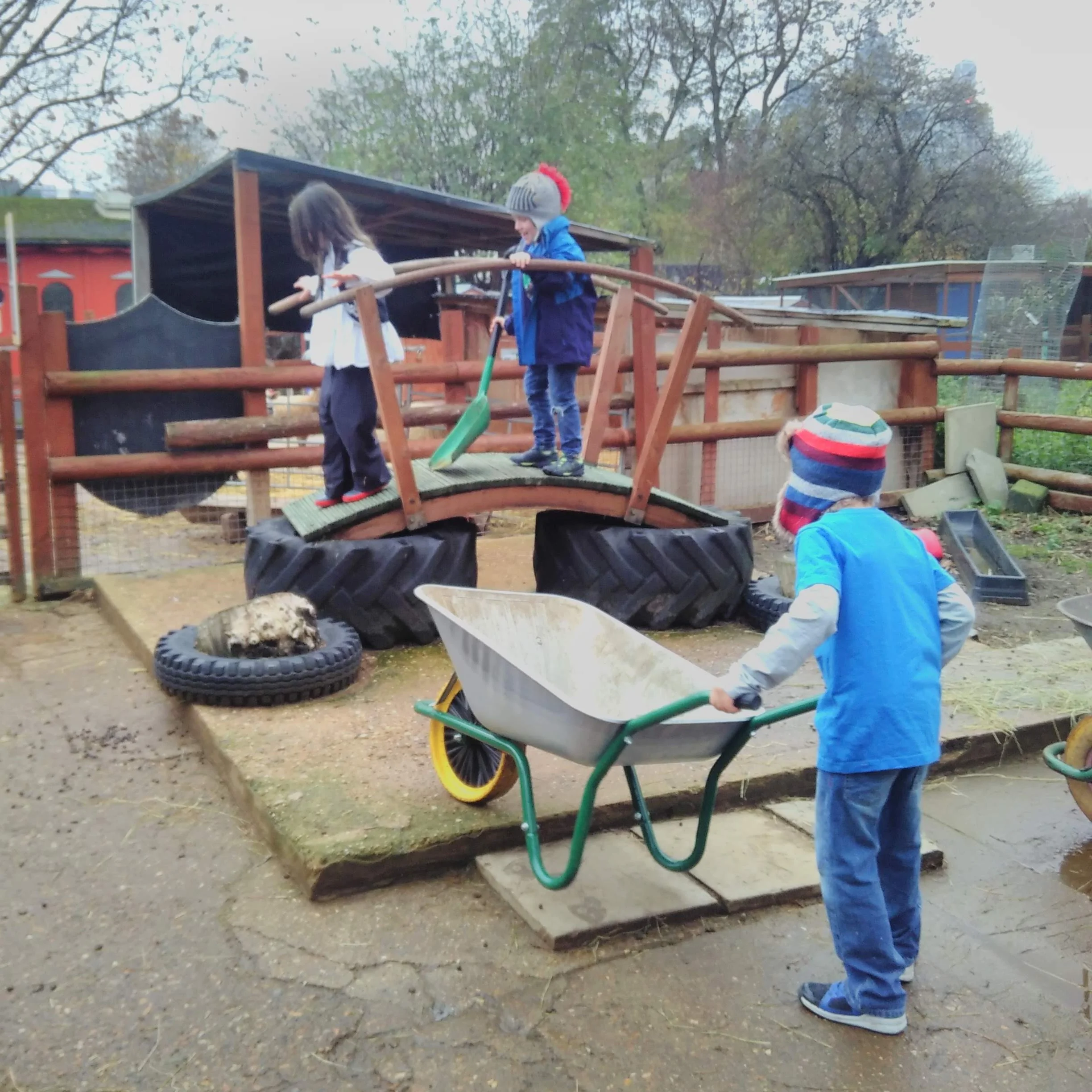 Families Go Wild in the Farmyard!