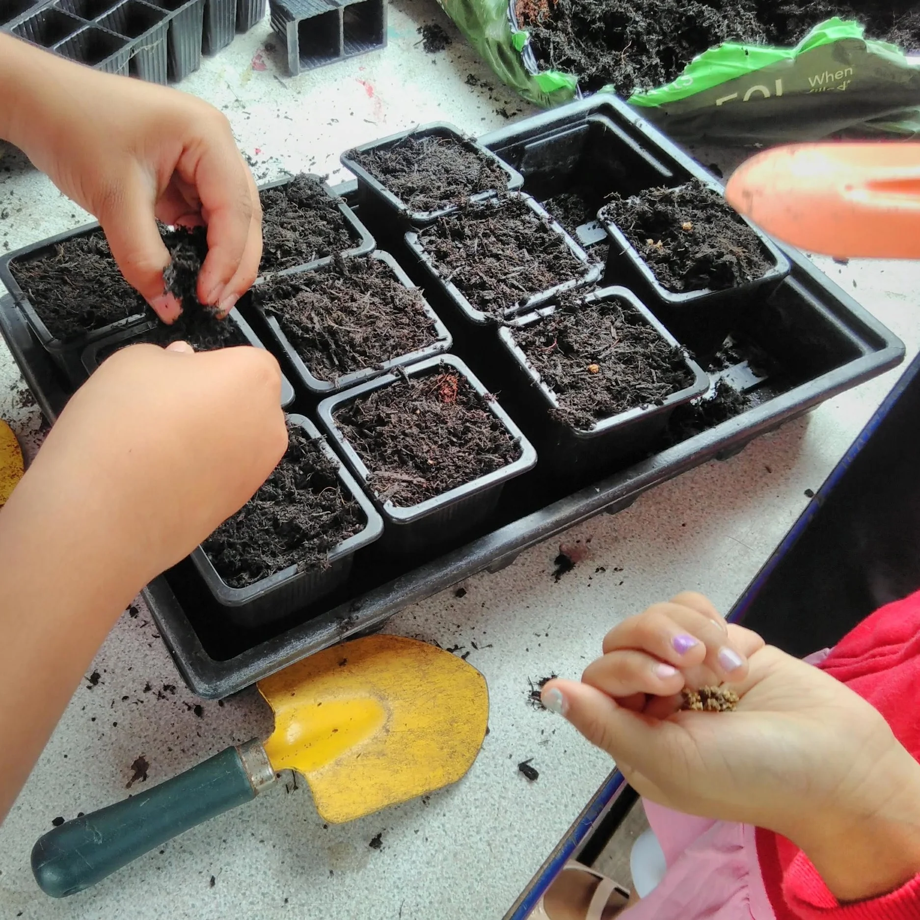 Families Go Wild in the Garden!