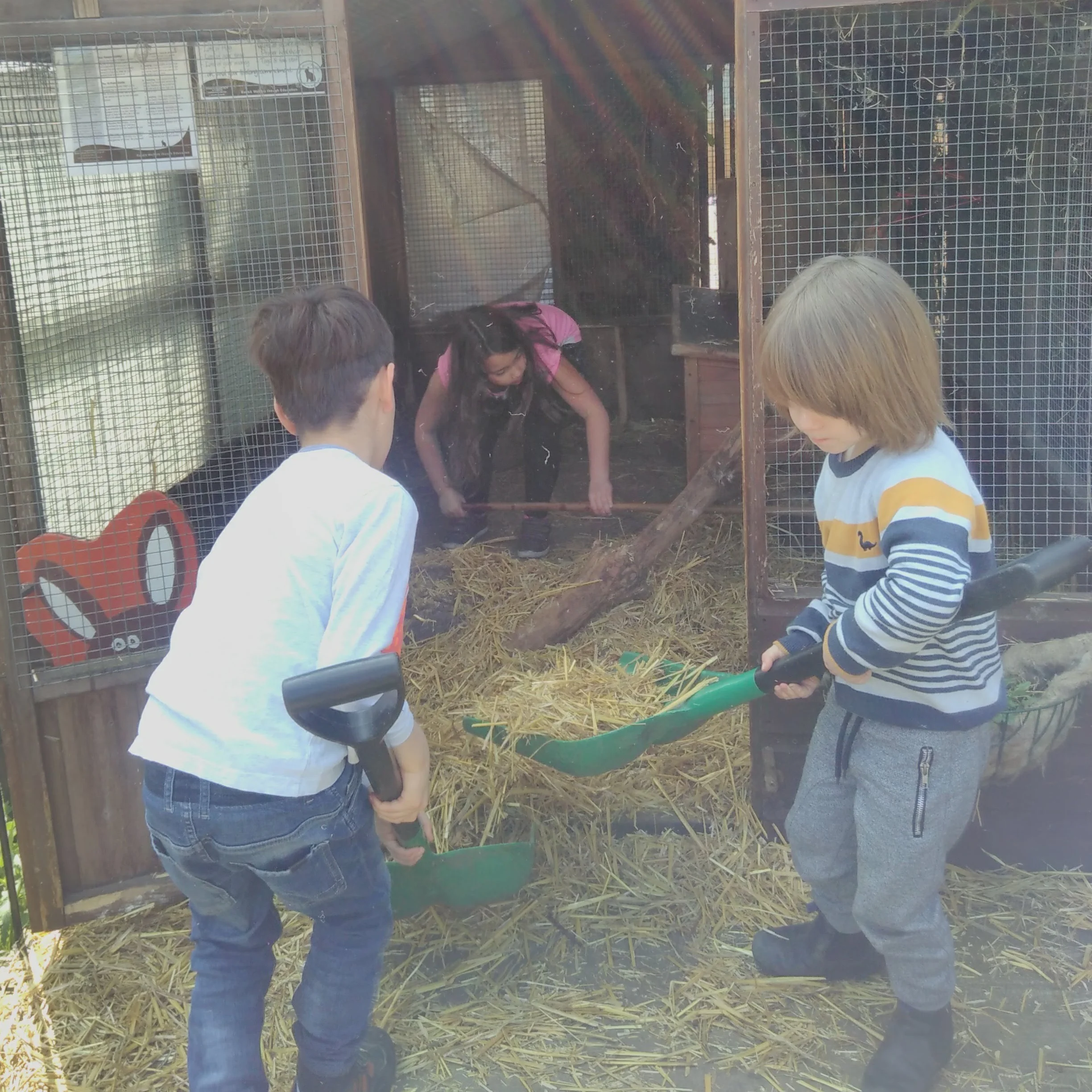 Families Go Wild in the Farmyard!