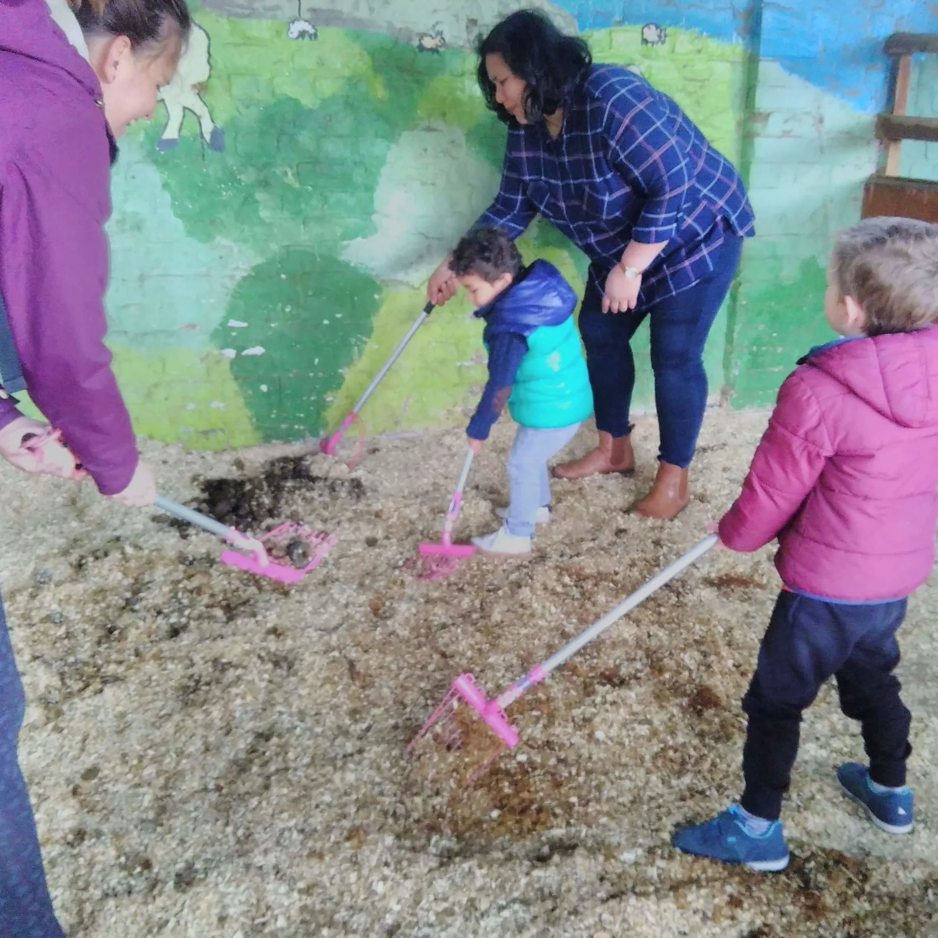 Families Go Wild in the Farmyard!