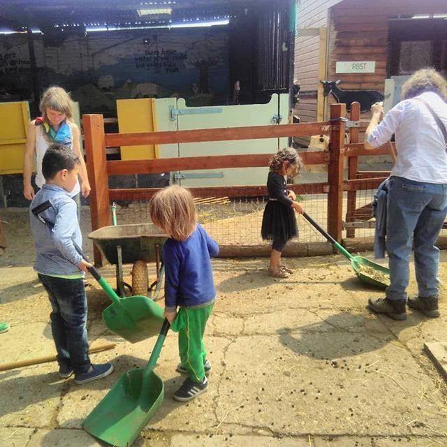 Families Go Wild in the Farmyard!