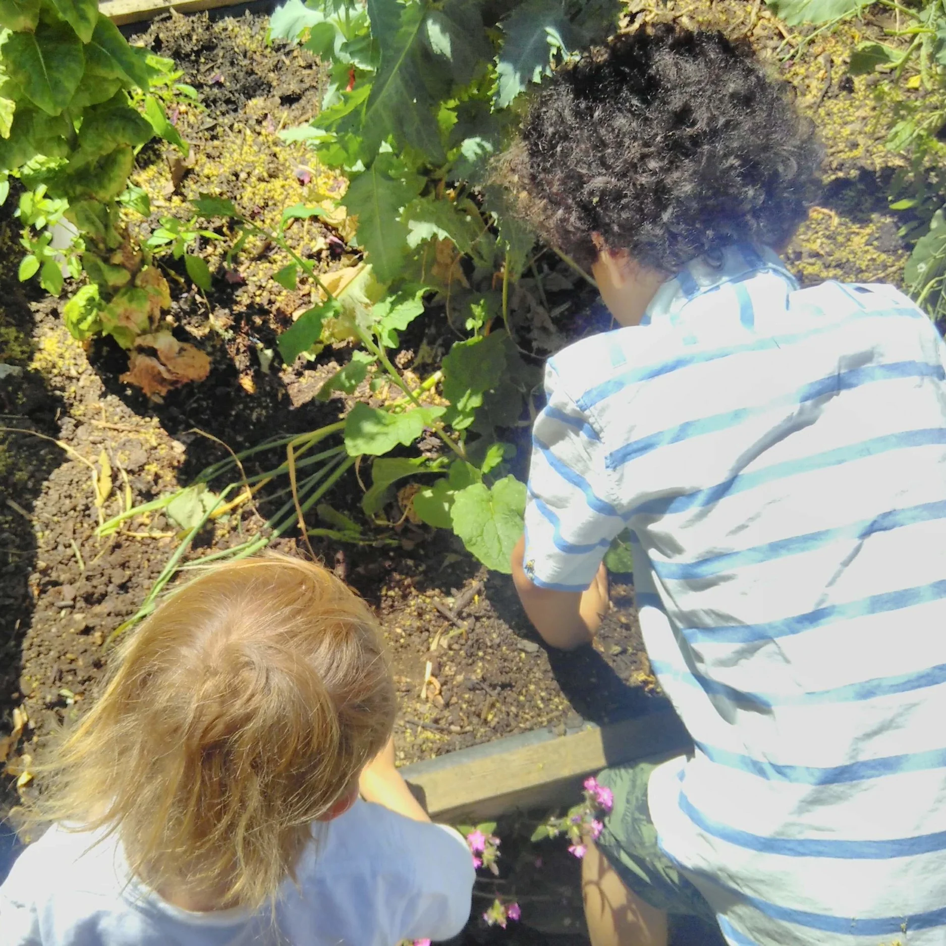 Families Go Wild in the Garden!