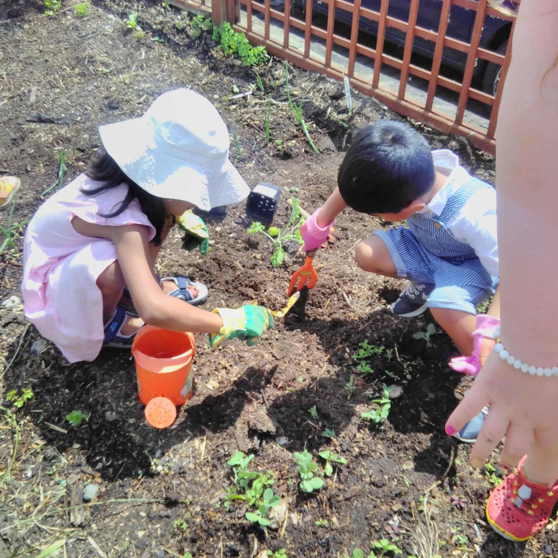 Families Go Wild in the Garden!