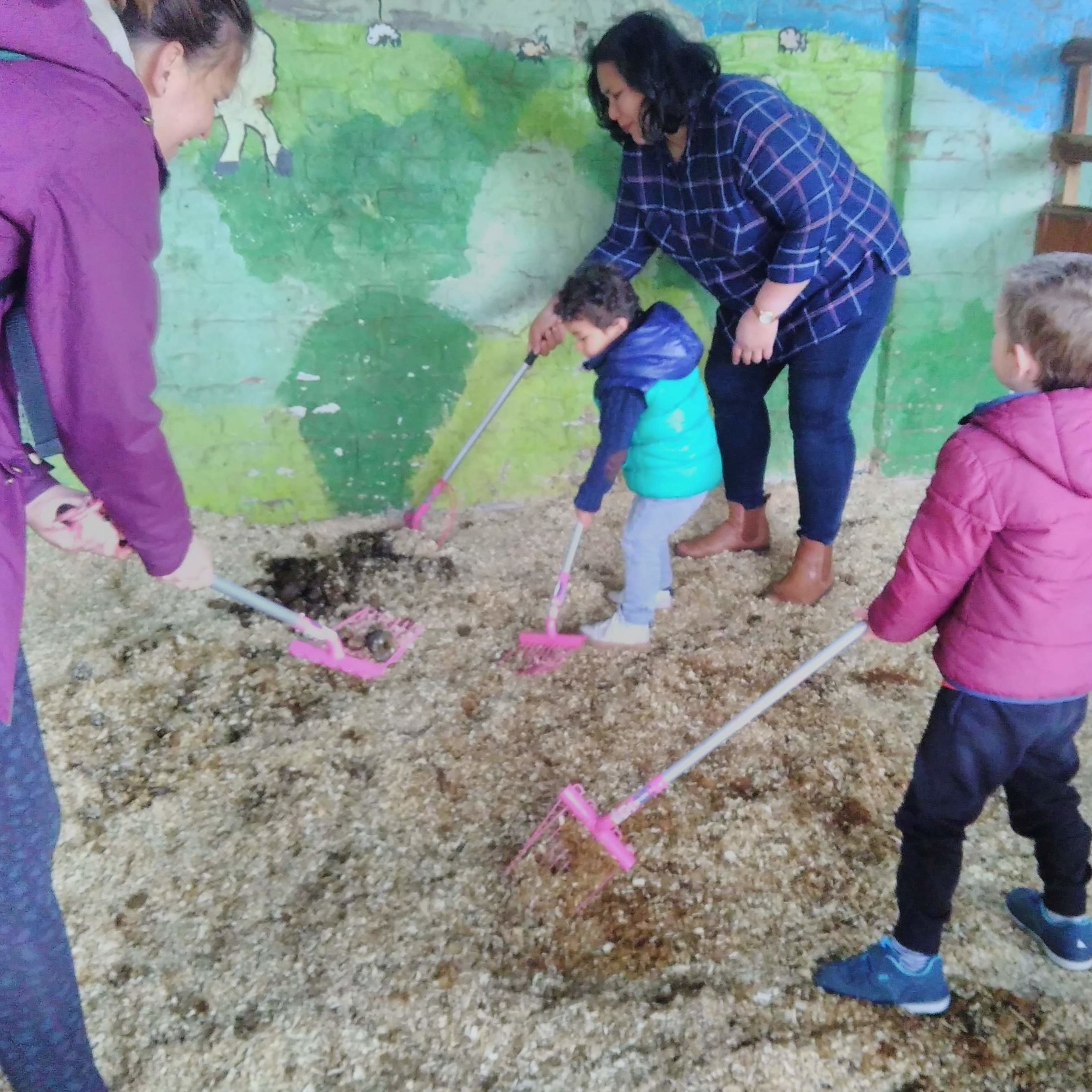 Families Go Wild in the Farmyard!