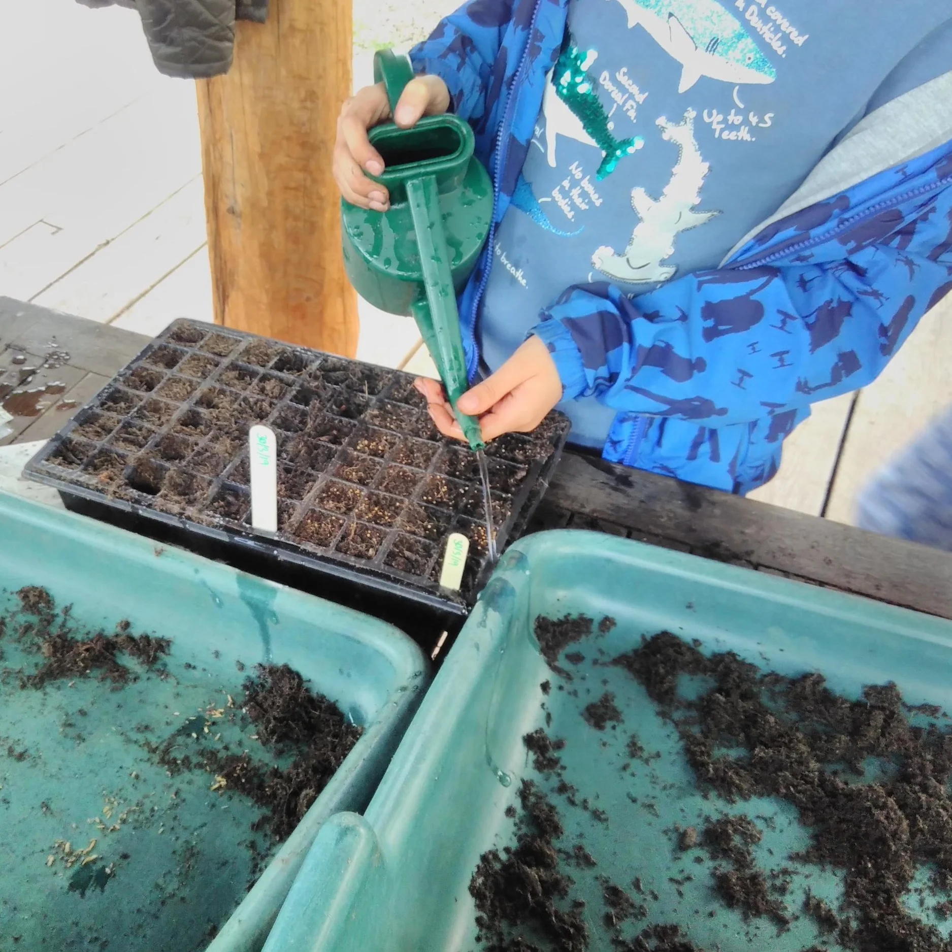 Families Go Wild in the Garden!